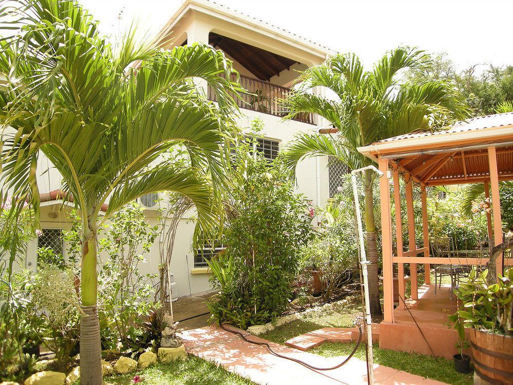 Palm Paradise Guest House And Apartments BARBADOS Buitenkant foto